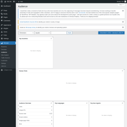 Page screenshot: Slimstat &rarr; Audience
