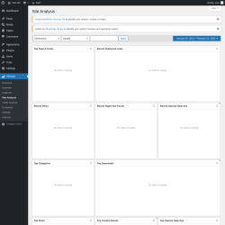 Page screenshot: Slimstat &rarr; Site Analysis