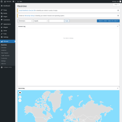 Page screenshot: Slimstat