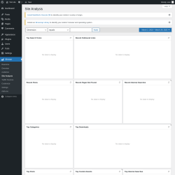 Page screenshot: Slimstat &rarr; Site Analysis