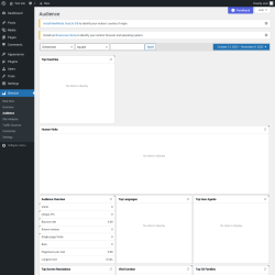 Page screenshot: Slimstat &rarr; Audience