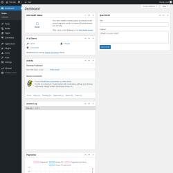 Page screenshot: Dashboard &lsaquo; Test site &mdash; WordPress