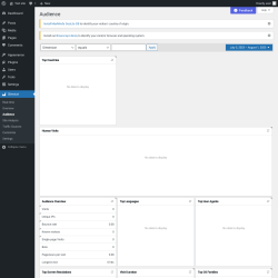 Page screenshot: Slimstat &rarr; Audience