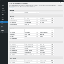 Page screenshot: Slimstat &rarr; Customize