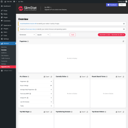Page screenshot: Slimstat &rarr; Overview