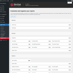 Page screenshot: Slimstat &rarr; Customize