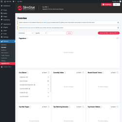 Page screenshot: Slimstat &rarr; Overview