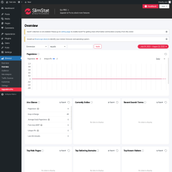Page screenshot: Slimstat → Overview