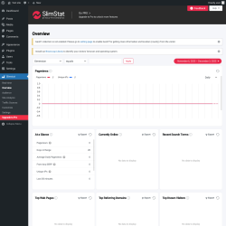 Page screenshot: Slimstat → Overview