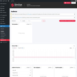 Page screenshot: Slimstat → Audience