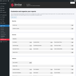 Page screenshot: Slimstat → Customize