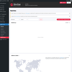 Page screenshot: Slimstat