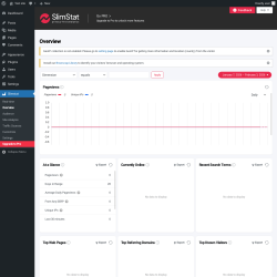 Page screenshot: Slimstat &rarr; Overview