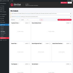 Page screenshot: Slimstat &rarr; Site Analysis