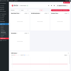 Page screenshot: SlimStat &rarr; Traffic Sources