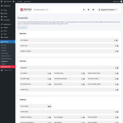 Page screenshot: SlimStat &rarr; Customize