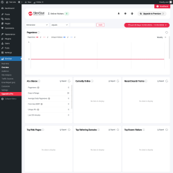 Page screenshot: SlimStat &rarr; Overview