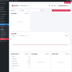 Page screenshot: SlimStat &rarr; Audience