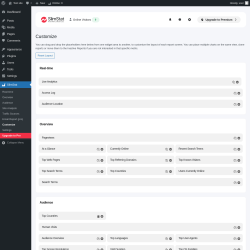 Page screenshot: SlimStat &rarr; Customize