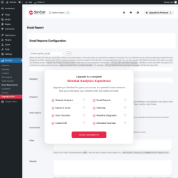 Page screenshot: SlimStat &rarr; Email Report (pro)