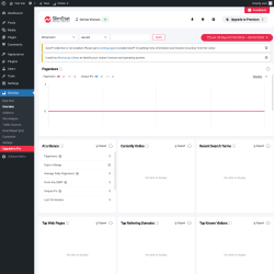 Page screenshot: SlimStat &rarr; Overview