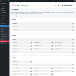 Page screenshot: SlimStat &rarr; Customize