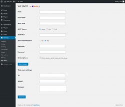 Page screenshot: Settings → WP SMTP