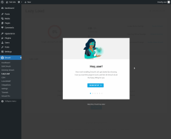 Page screenshot: Smush &rarr; Lazy Load