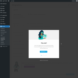 Page screenshot: Smush &rarr; Integrations