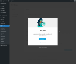 Page screenshot: Smush &rarr; Settings