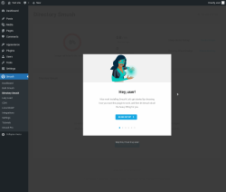 Page screenshot: Smush &rarr; Directory Smush