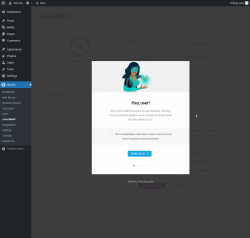 Page screenshot: Smush &rarr; Local WebP