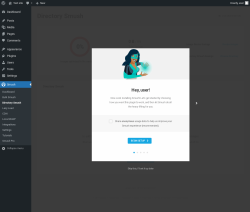 Page screenshot: Smush &rarr; Directory Smush