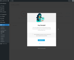 Page screenshot: Smush &rarr; Lazy Load