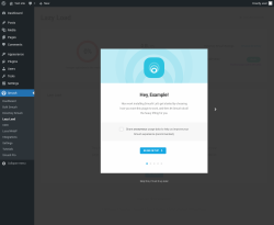 Page screenshot: Smush &rarr; Lazy Load