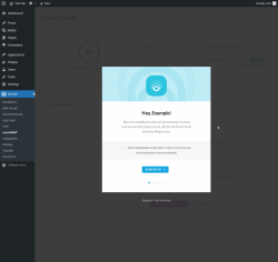 Page screenshot: Smush &rarr; Local WebP