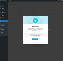 Page screenshot: Smush &rarr; Local WebP