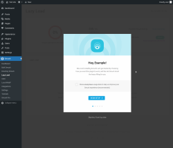 Page screenshot: Smush &rarr; Lazy Load