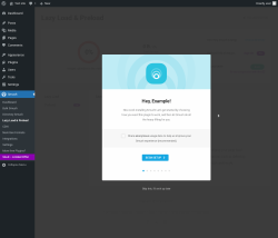 Page screenshot: Smush → Lazy Load & Preload
