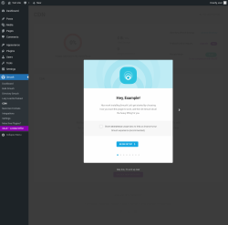 Page screenshot: Smush → CDN