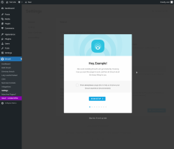 Page screenshot: Smush → Settings