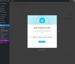 Page screenshot: Smush → Lazy Load & Preload