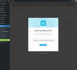 Page screenshot: Smush &rarr; Lazy Load & Preload