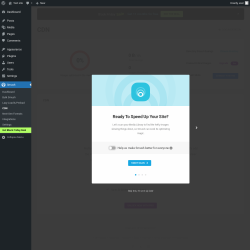 Page screenshot: Smush &rarr; CDN