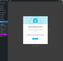 Page screenshot: Smush &rarr; Bulk Smush