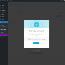 Page screenshot: Smush &rarr; Next-Gen Formats