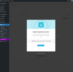 Page screenshot: Smush &rarr; CDN