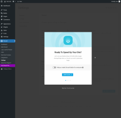 Page screenshot: Smush &rarr; Settings