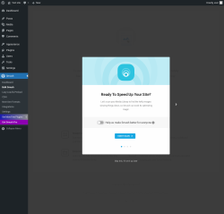 Page screenshot: Smush &rarr; Bulk Smush