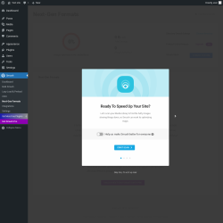 Page screenshot: Smush &rarr; Next-Gen Formats